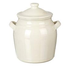 Load image into Gallery viewer, Frances Storage Jar With lid