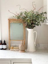 Load image into Gallery viewer, Eucalyptus Stem