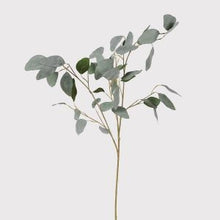 Load image into Gallery viewer, Silver Dollar Eucalyptus Spray