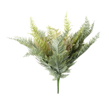 Load image into Gallery viewer, Dusky Boston Fern