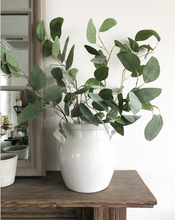 Load image into Gallery viewer, Silver Dollar Eucalyptus Spray