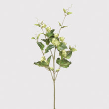 Load image into Gallery viewer, Hops spray
