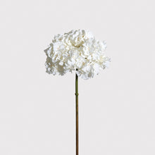 Load image into Gallery viewer, Elegant White Hydrangea
