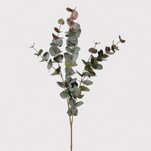 Load image into Gallery viewer, Blush Eucalyptus Stem (Large)
