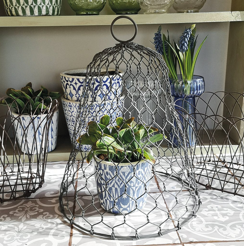 Zinc Garden Cloche (Two Sizes)