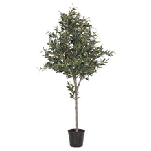 Load image into Gallery viewer, Large Olive Tree
