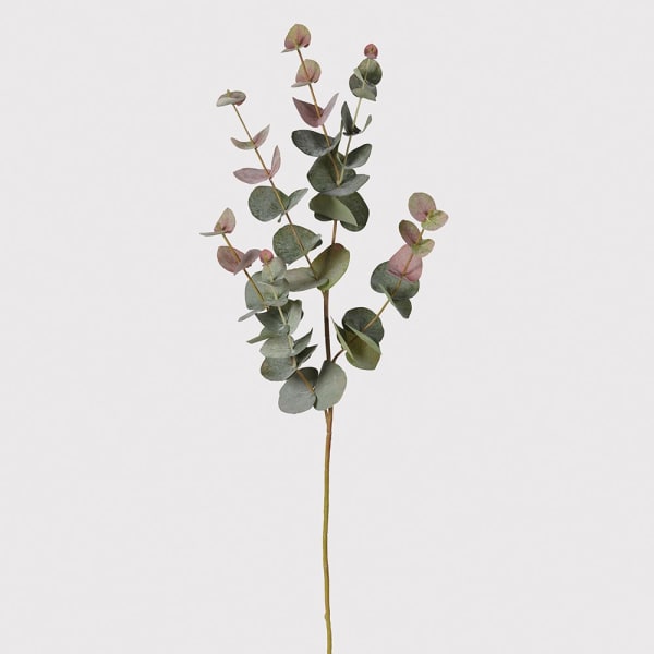 Blush Eucalyptus (Small)