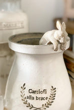 Load image into Gallery viewer, Rabbit Pot Hanger
